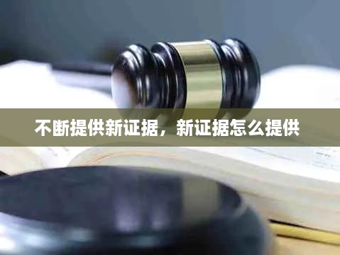 不断提供新证据，新证据怎么提供 