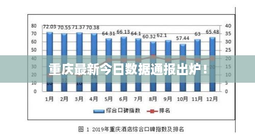 重庆最新今日数据通报出炉！