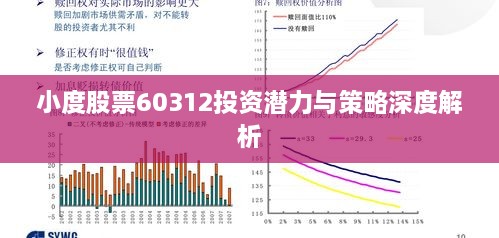 小度股票60312投资潜力与策略深度解析