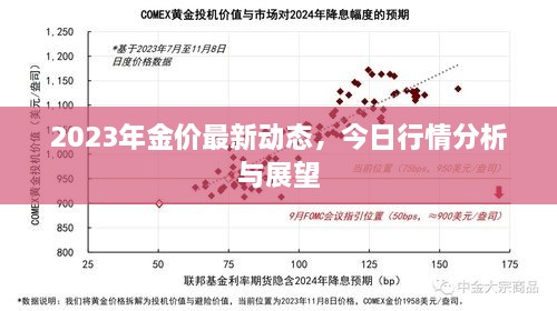 2023年金价最新动态，今日行情分析与展望