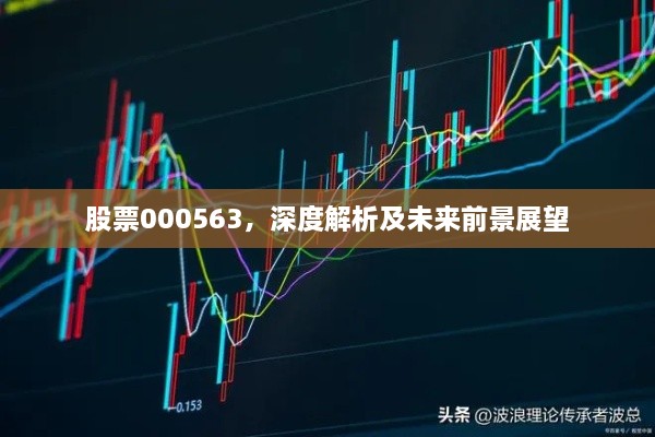 股票000563，深度解析及未来前景展望