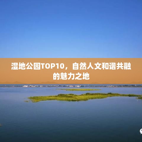 湿地公园TOP10，自然人文和谐共融的魅力之地