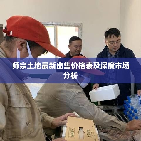 师宗土地最新出售价格表及深度市场分析