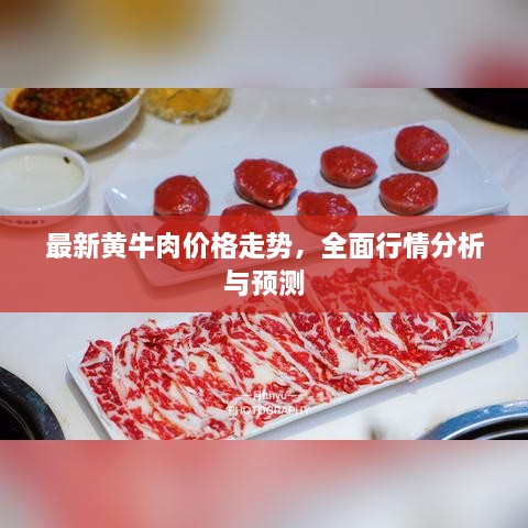 最新黄牛肉价格走势，全面行情分析与预测