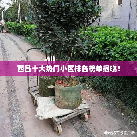 西昌十大热门小区排名榜单揭晓！