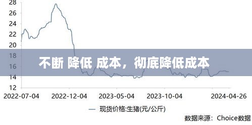 不断 降低 成本，彻底降低成本 