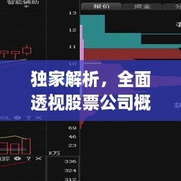 独家解析，全面透视股票公司概况