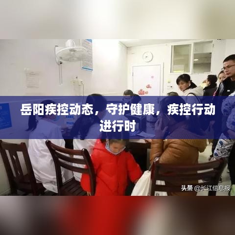 岳阳疾控动态，守护健康，疾控行动进行时