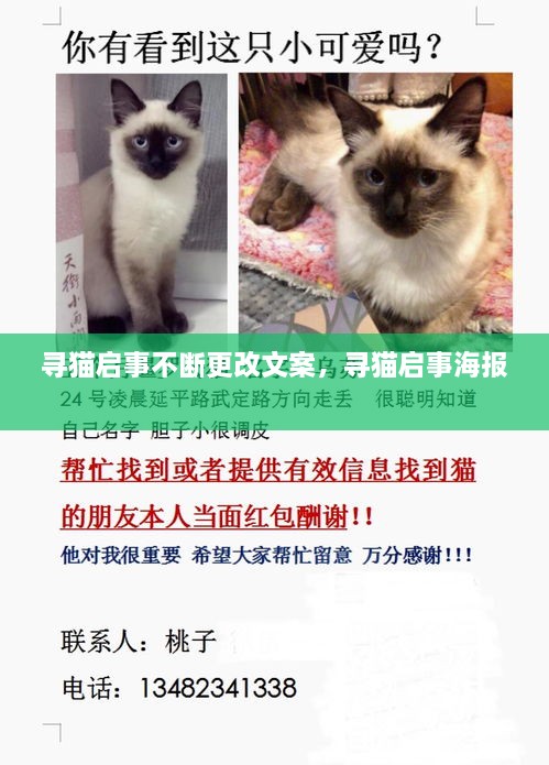 寻猫启事不断更改文案，寻猫启事海报 