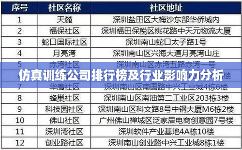 仿真训练公司排行榜及行业影响力分析