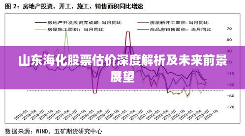 山东海化股票估价深度解析及未来前景展望