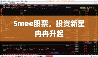 Smee股票，投资新星冉冉升起