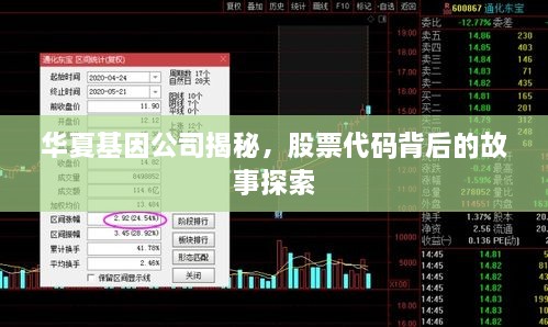 华夏基因公司揭秘，股票代码背后的故事探索
