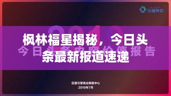 枫林福星揭秘，今日头条最新报道速递