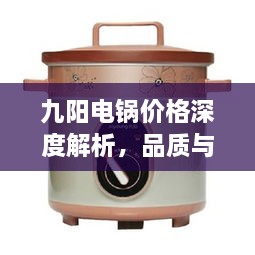 九阳电锅价格深度解析，品质与价值并存的完美选择