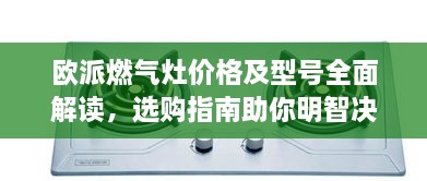 欧派燃气灶价格及型号全面解读，选购指南助你明智决策