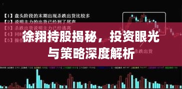 徐翔持股揭秘，投资眼光与策略深度解析