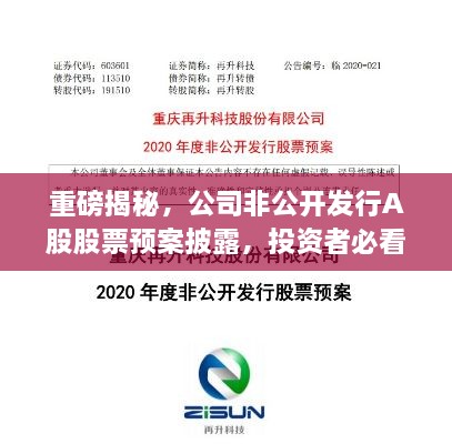 重磅揭秘，公司非公开发行A股股票预案披露，投资者必看公告！