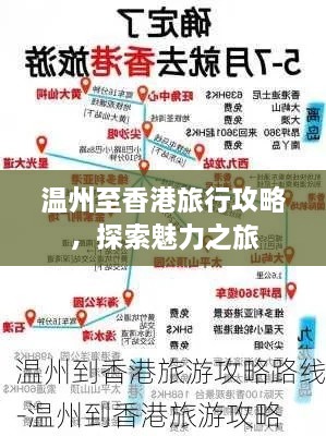 温州至香港旅行攻略，探索魅力之旅