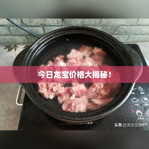 今日龙宝价格大揭秘！