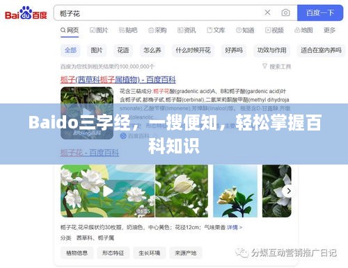 Baido三字经，一搜便知，轻松掌握百科知识