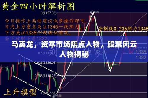 马英龙，资本市场焦点人物，股票风云人物揭秘