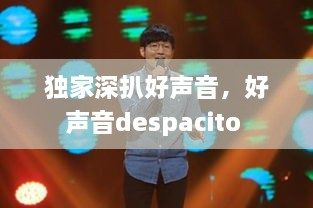 独家深扒好声音，好声音despacito 