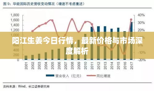 阳江生姜今日行情，最新价格与市场深度解析