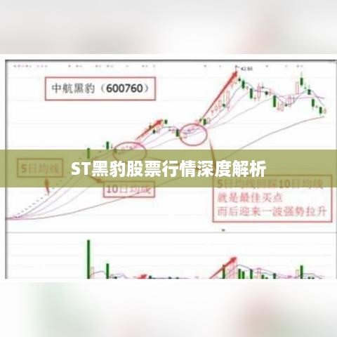 ST黑豹股票行情深度解析