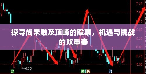 探寻尚未触及顶峰的股票，机遇与挑战的双重奏