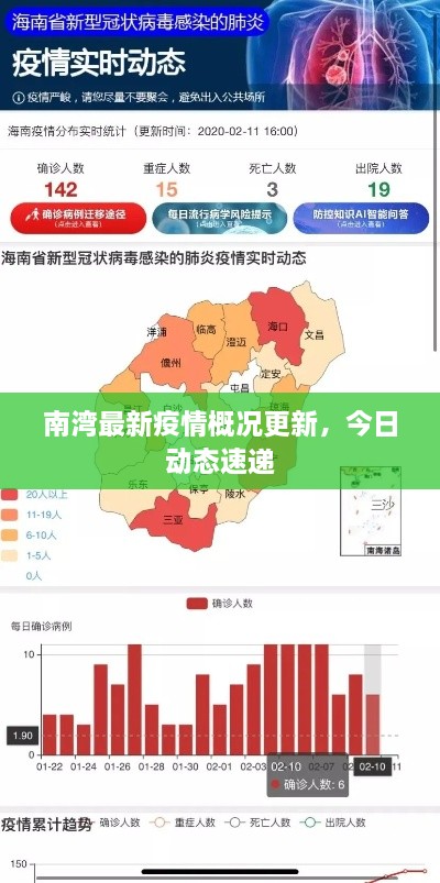 南湾最新疫情概况更新，今日动态速递