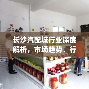 长沙汽配城行业深度解析，市场趋势、行情展望与前景预测