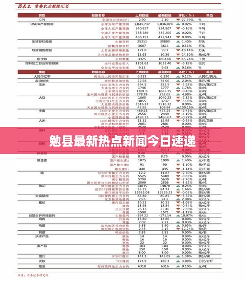 勉县最新热点新闻今日速递