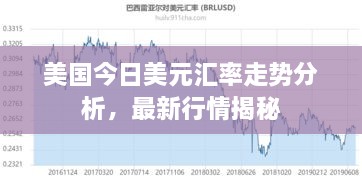 美国今日美元汇率走势分析，最新行情揭秘