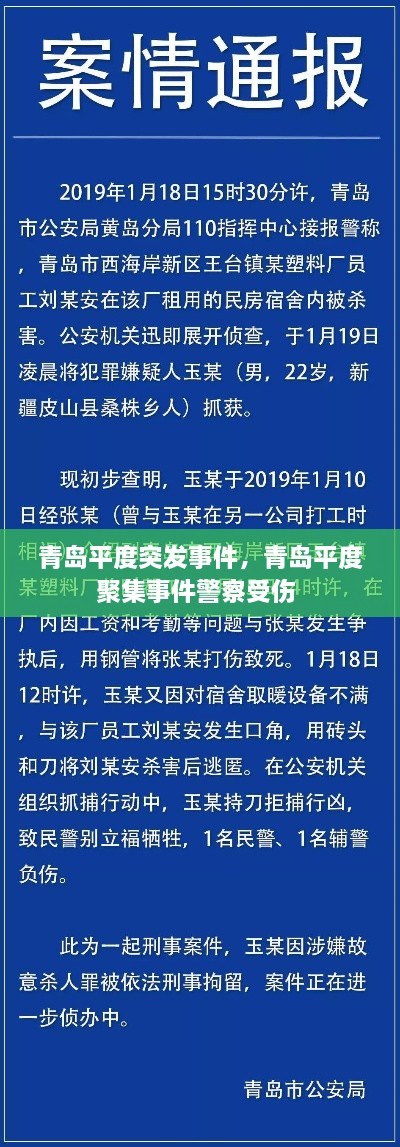 青岛平度突发事件，青岛平度聚集事件警察受伤 