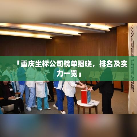 「重庆坐标公司榜单揭晓，排名及实力一览」