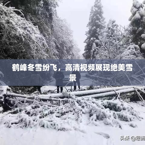 鹤峰冬雪纷飞，高清视频展现绝美雪景