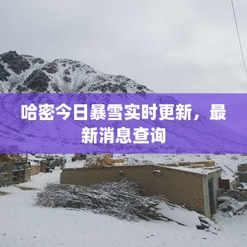 哈密今日暴雪实时更新，最新消息查询