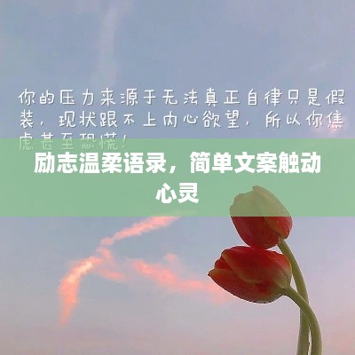 励志温柔语录，简单文案触动心灵