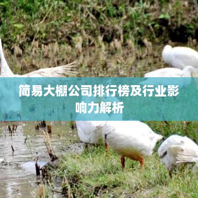 简易大棚公司排行榜及行业影响力解析