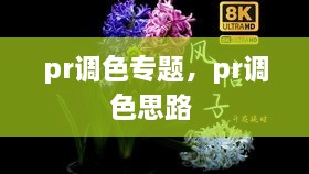 pr调色专题，pr调色思路 