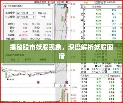 揭秘股市妖股现象，深度解析妖股图谱