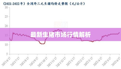 最新生猪市场行情解析