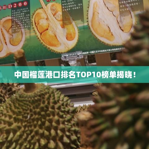 中国榴莲港口排名TOP10榜单揭晓！