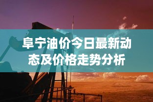 阜宁油价今日最新动态及价格走势分析