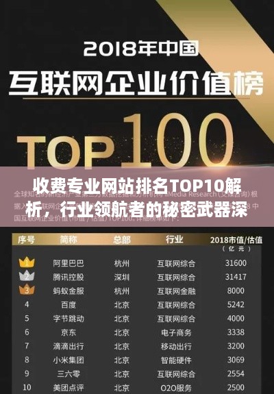 收费专业网站排名TOP10解析，行业领航者的秘密武器深度揭秘！