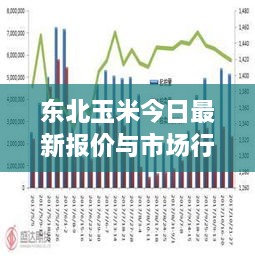 东北玉米今日最新报价与市场行情深度解析