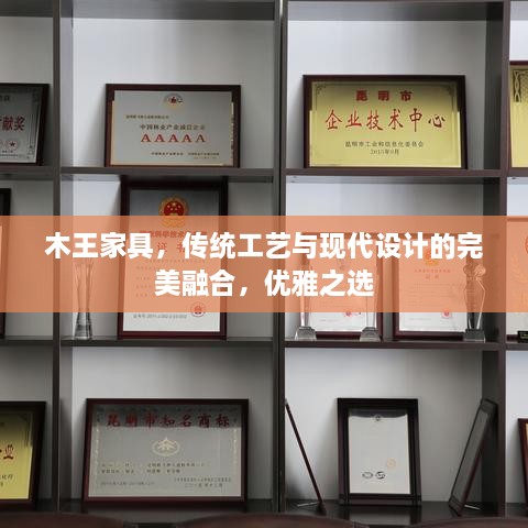 木王家具，传统工艺与现代设计的完美融合，优雅之选