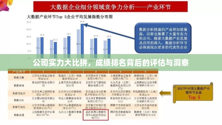 公司实力大比拼，成绩排名背后的评估与洞察