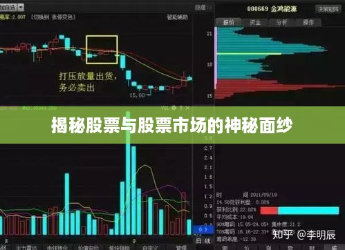 揭秘股票与股票市场的神秘面纱